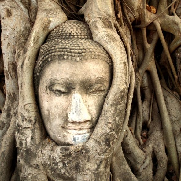 Tempelstatue Ashwagandha