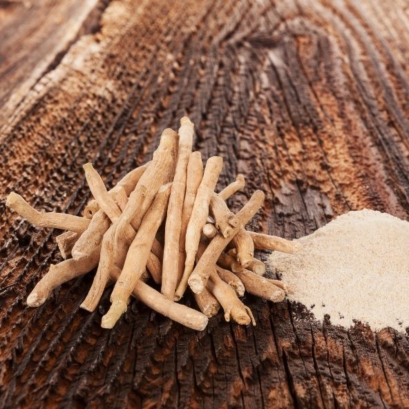 Wurzeln und Pulver Ashwagandha