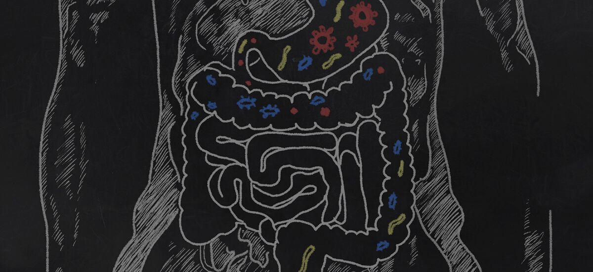 Darmbakterien: Wie sie unser Gehirn und unsere Stimmung beeinflussen