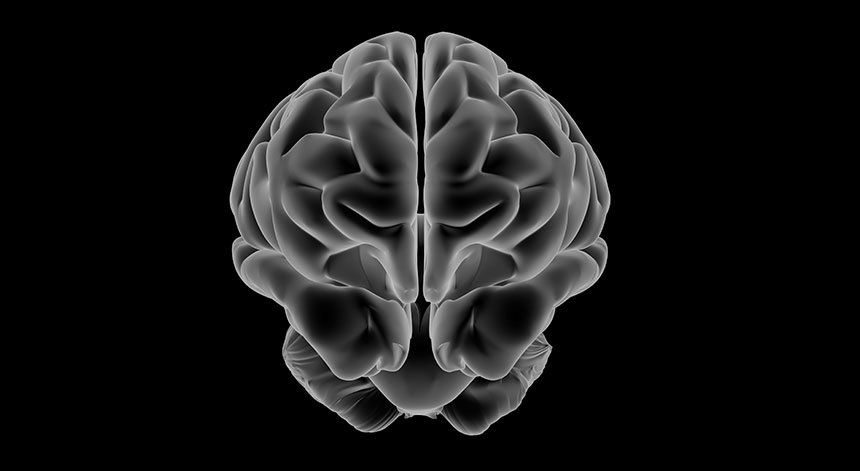 Myelin - die Membran, die deine Nerven schützt