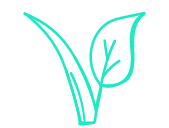 vegan-shop-icon-168x127-20-10-23