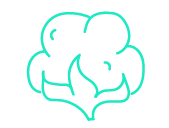 100__bio_baumwolle-shop-icon-168x127-20-10-23