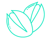 pistachio-shop-icon-168x127-21-03-16