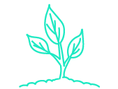nat_rliche_adaptogene_wie_ashwagandha-shop-icon-168x127-20-10-23