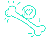 vit_k2_zum_erhalt_deiner_knochen-shop-icon-168x127-20-10-23