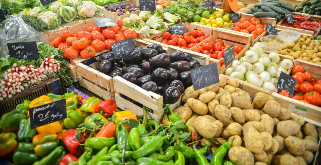 Vitamin and Minerals Food Vegetables Supplementation BrainEffect