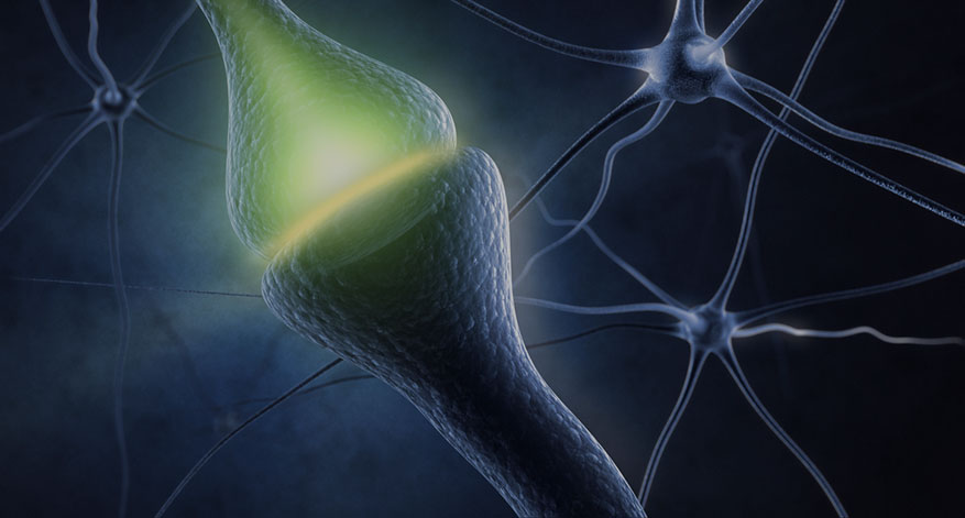 Neurotransmitter – Die wichtigsten Botenstoffe im Überblick