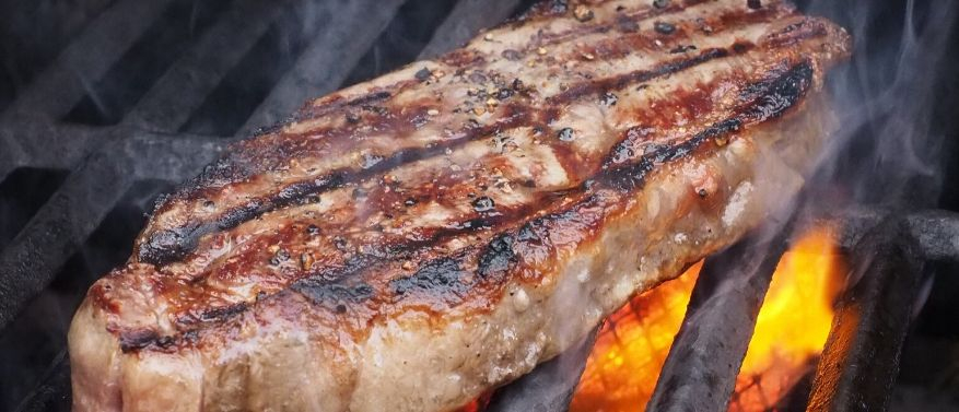 Tierische Proteine Proteinquelle Fleisch