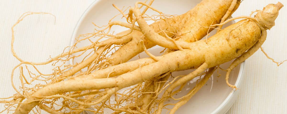 Ginseng Ginseng