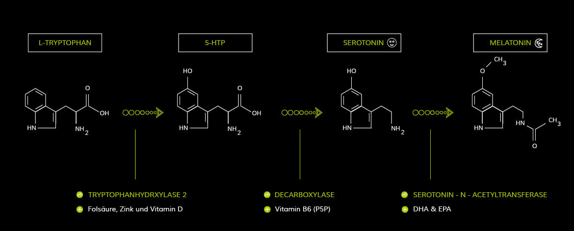 Serotoninmangel Serotoninmangel